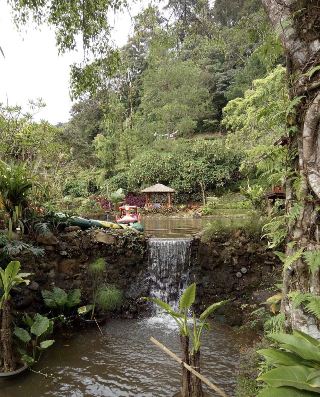 3 Tempat Wisata di Bogor yang Asyik Dikunjungi Bareng Keluarga