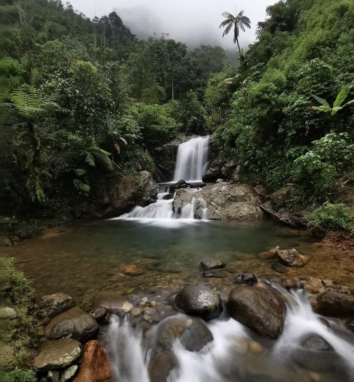 5 Tempat Wisata Alam di Bogor Terfavorit