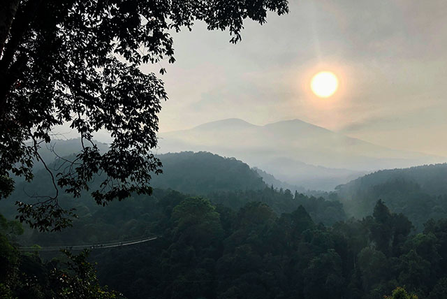 Panduan Praktis Liburan ke Jembatan Gantung Situ Gunung